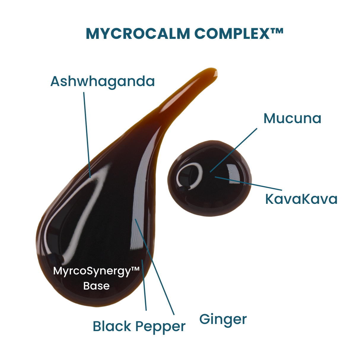 MycroCalm™ - GROUNDED AYURVEDIC STYLE ADAPTOGENIC ELIXIR