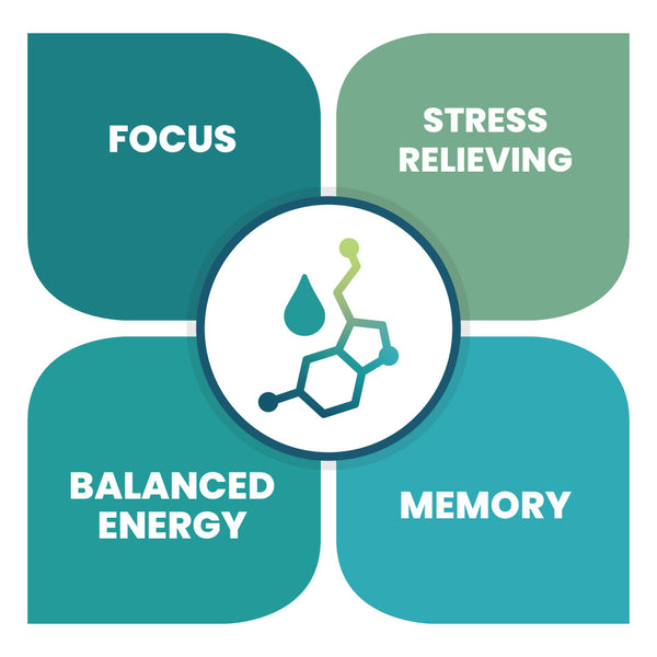 MycroFlow™ RESILIENCE Adaptogen Stress-Relief Capsules - 30ct