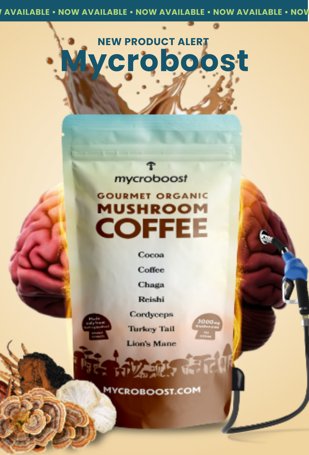 MycroBoost™ Functional Mushroom Coffee - 30 servings