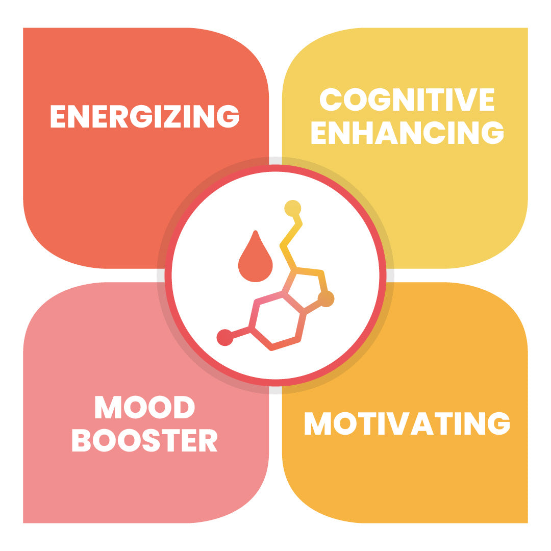 MycroActive™ -  MOTIVATED AYURVEDIC STYLE ADAPTOGENIC ELIXIR